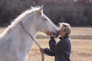 Lipizzan Rescue Foundation, a 501(c)(3) non-profit.