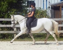 Bellissima – 46 (Imported)